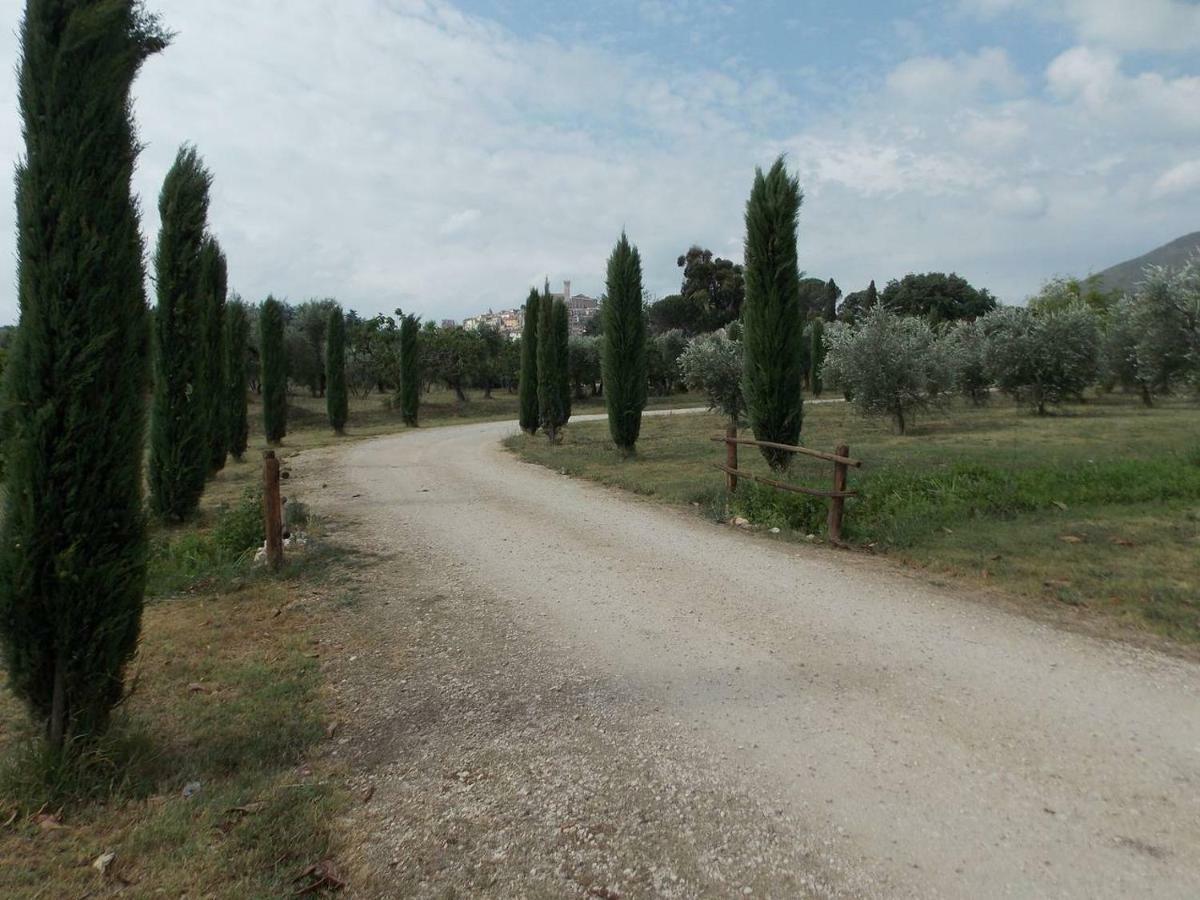 Agriturismo Cento Ducati Palombara Sabina المظهر الخارجي الصورة