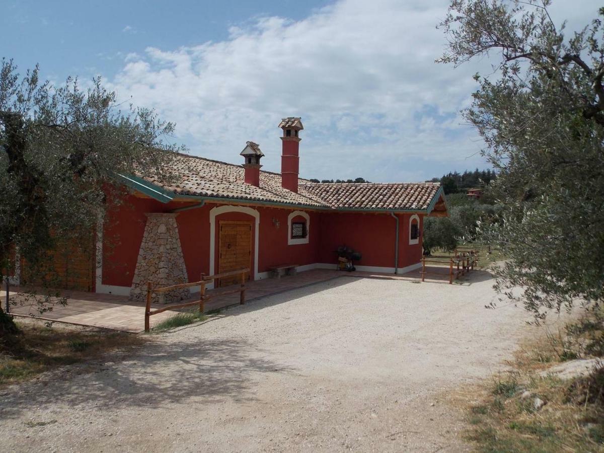Agriturismo Cento Ducati Palombara Sabina المظهر الخارجي الصورة